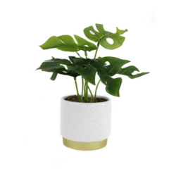 PLANTA MONSTERA ARTIF.en MACETA 25cm
