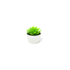 BONSAI SUCULENTA 7X7CM