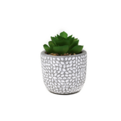PLANTA MACETA CEMENTO 8X11CM