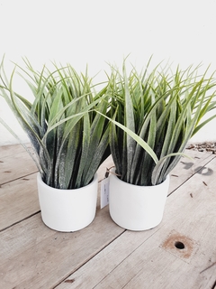 Maceta Suculenta 1 - comprar online