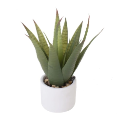 Maceta Suculenta Ø 10 X H27 cm
