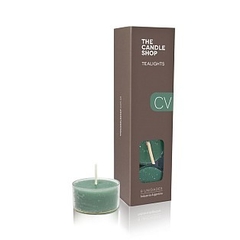 TEALIGHTS X8UN. CEDRO VERBENA