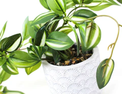 Planta con maceta 8x44cm CEMENTO - comprar online