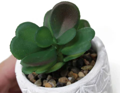 Planta con maceta 7,5x11cm CEMENTO - comprar online
