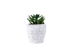 Planta con maceta 7x10cm CEMENTO