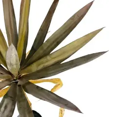 PLANTA PALMERA 167CM - comprar online