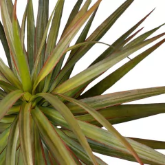PLANTA 78CM - PALMERA - comprar online