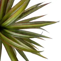 PLANTA PALMERA 166CM - comprar online
