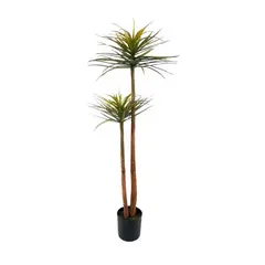 PLANTA PALMERA 166CM