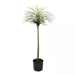 PLANTA 135CM - PALMERA