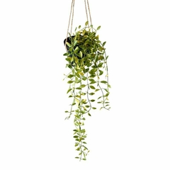 PLANTA COLGANTE 82CM