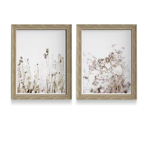 Set x 2 Cuadros 40x50cm Flora Salv.