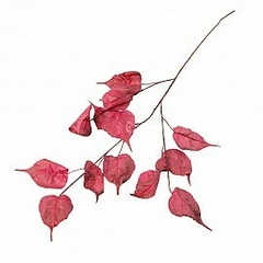 VARA BODHI BORDO 95 CM. - comprar online