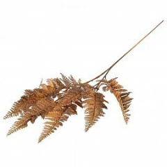 VARA FERN MARRON 85cm