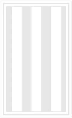 Alfombra vinilica 49X100cm Variados LINEAS - Almacen de Funes