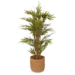Maceta Bamboo 50 X H120 cm.