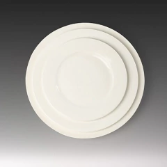 PLATO PLAYO Gde. 30cm PORCELANA GASTRO. en internet