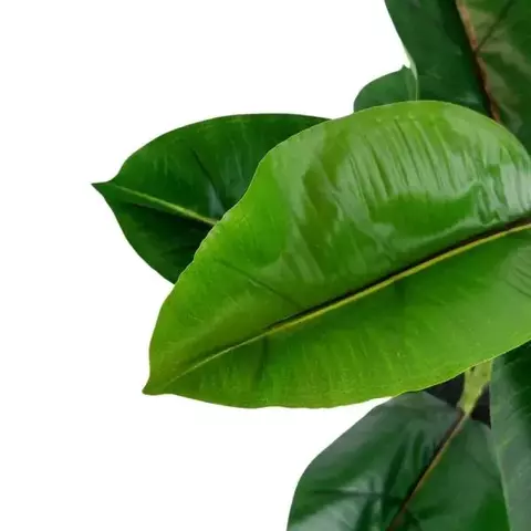 PLANTA 75CM - comprar online