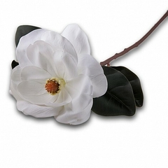 VARA DE MAGNOLIA GRANDE 79 CM