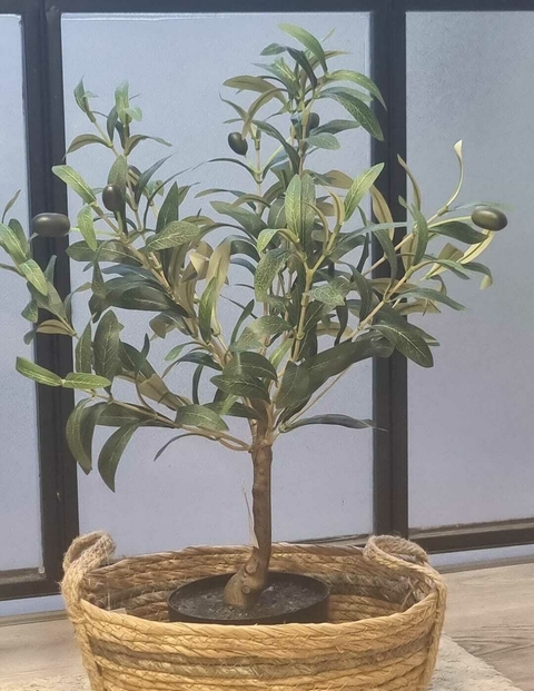 PLANTA CHICA 50cm - comprar online