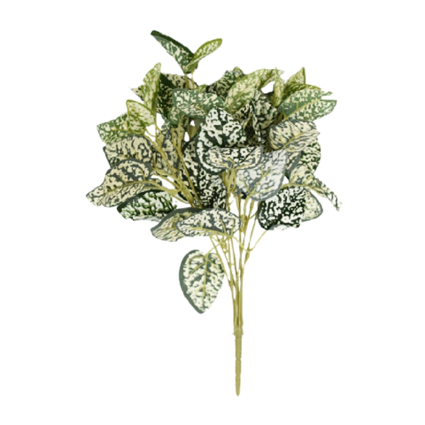 Hojas Phyllostachya 28 Cm.