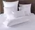 Vints house te ofrece: Relleno almohada