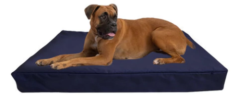 Cama Colchoneta Para Perros Lola Pets Antidesgarro 85x65 Cm - comprar online