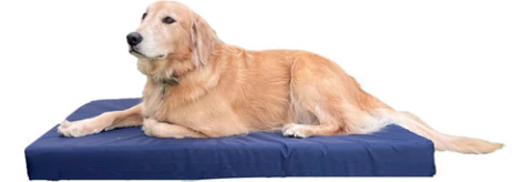 Cama Colchoneta Para Perros Lola Pets Antidesgarro 100x70 Cm - comprar online
