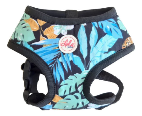 Pretal Arnes Para Perro Talle S Acolchado Lola Pets