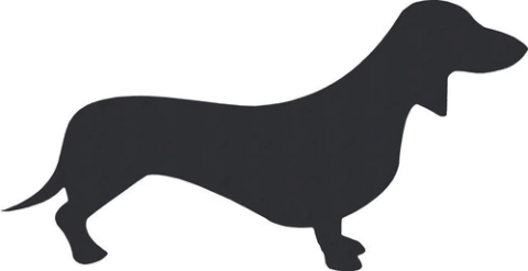 Imanes Pizarra Lola Pets Con Forma De Animales