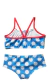 BK PIÑA 329 - comprar online