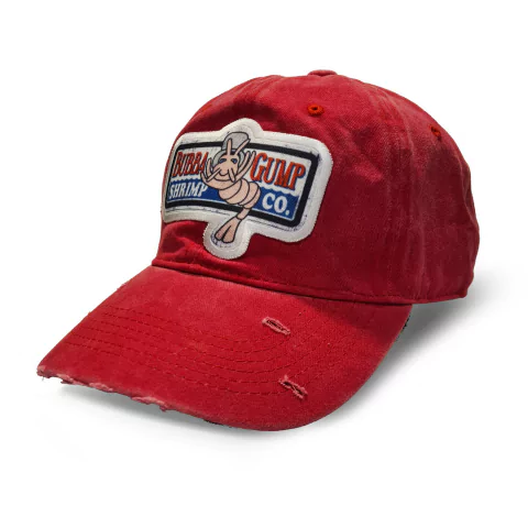 Gorra Prelavada Cerrada Bubba Gump