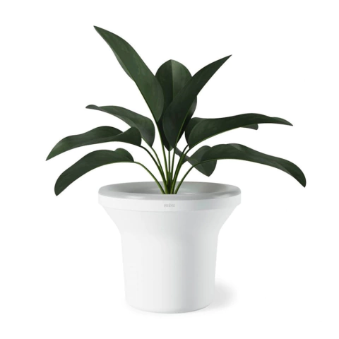 Vaso Para Plantas E Luminária Led Ora Umbra