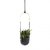 Vaso Suspenso Bolo Planter Preto/Dourado