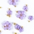 micro flores mix deco- lilas - comprar online