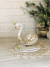 Cisne Gold