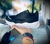 Zapatilla Neo negras, oferta hasta agotar stock