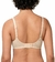 WILD ROSE SENSATION W01 en internet