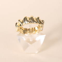 Anillo Espuma en internet