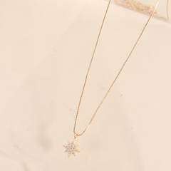 Conjunto Antonia en internet