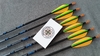 Flechas Carbono Spine 500 - Skylon Radius - VANES PLÁSTICAS - lote verde/laranja