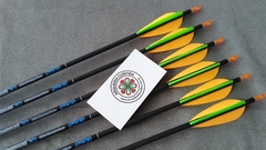 Flechas Carbono Spine 500 - Skylon Radius - VANES PLÁSTICAS - lote verde/laranja
