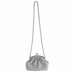 Cartera Shine Silver en internet