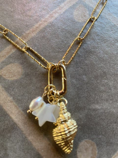 Cadena multideje mar art 486