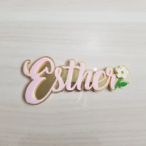 nome aplique espelhado jardim 