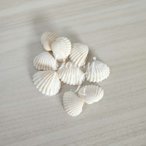 Concha Natural mod.1 (10 pçs)