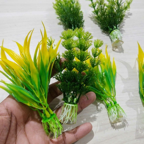 Plantinhas Fundo do Mar Com Ventosa (1 Unid) - comprar online