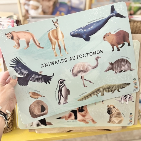 KIT INDIVIDUALES