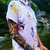 CAMISA SAILOR MOON - REDNOSE