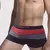 Pack 3 Boxer Andros Microfibra y Algodón Sin Costura Rayado Art.5244 en internet